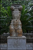 DSC_2214RAW.jpg