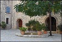 DSC_2447.JPG