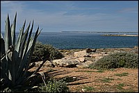 DSC_2724.JPG