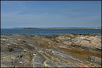 DSC_2730.JPG