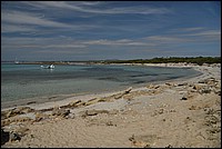 DSC_2770.JPG