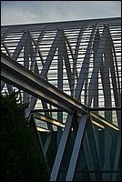 DSC_2836RAW.jpg