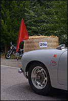AFC_3681.JPG