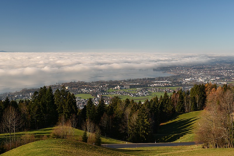 DSC_3821RAW.jpg