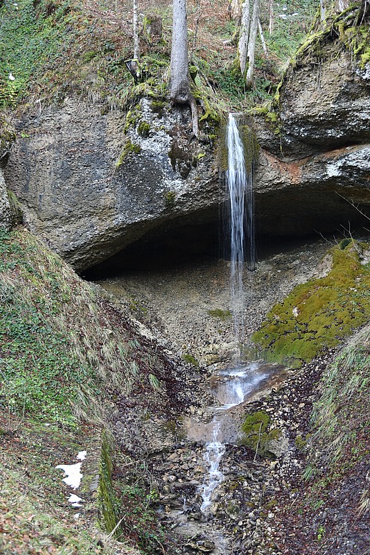 DSC_3843.JPG
