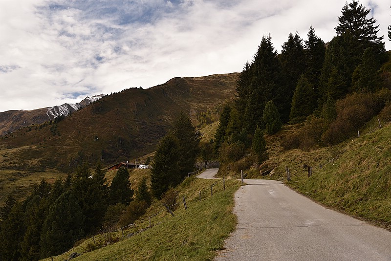 DSC_6304RAW.jpg