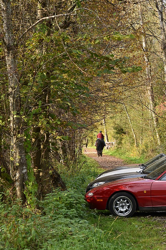 DSC_6336RAW.jpg