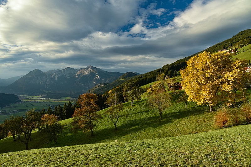 DSC_6343RAW.jpg