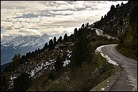 DSC_6311RAW.jpg
