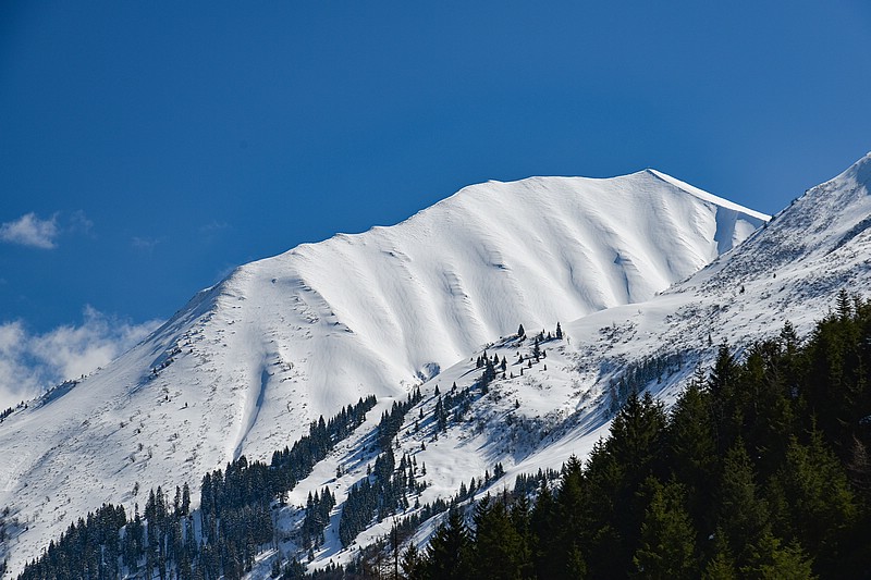 DSC_4713RAW.jpg