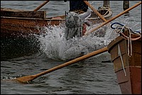 DSC_0126RAW.jpg