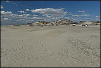 DSC_4980RAW.jpg