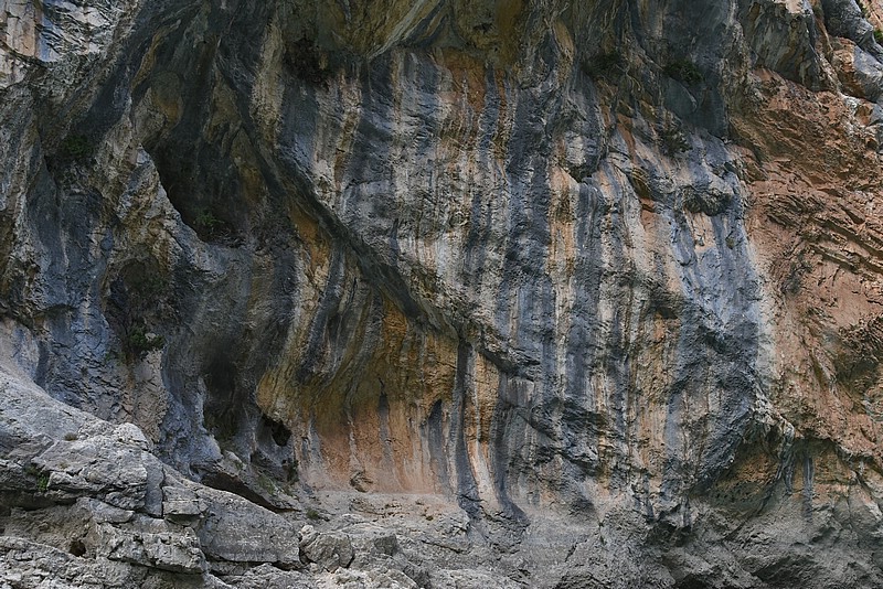 DSC_5077.JPG