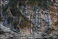DSC_5077.JPG