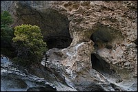 DSC_5080.JPG