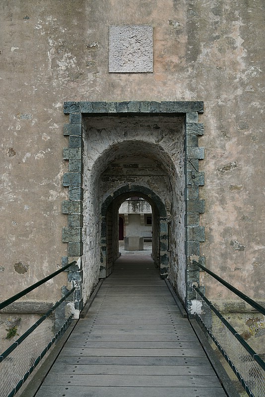 DSC_5175RAW.jpg