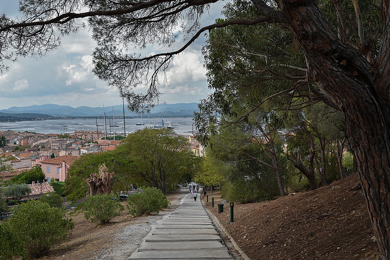 DSC_5188RAW.jpg