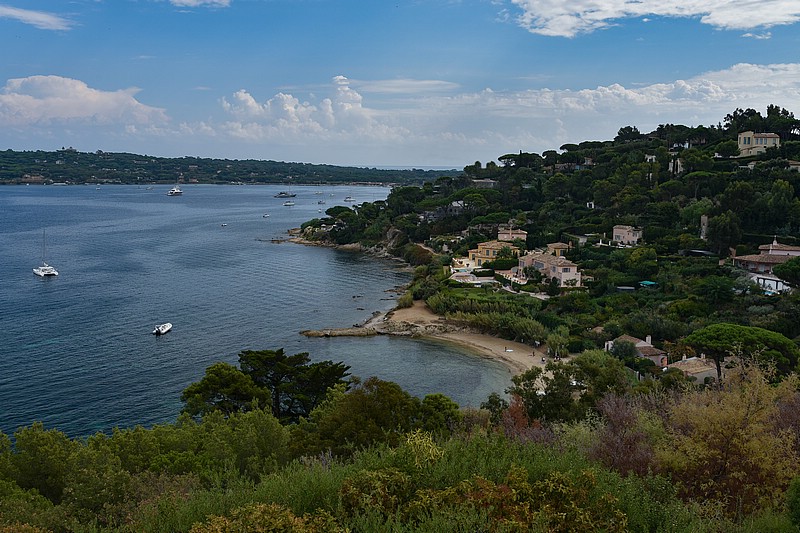 DSC_5199RAW.jpg