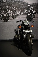 DSC_5135RAW.jpg