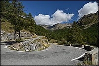 DSC_5308.JPG