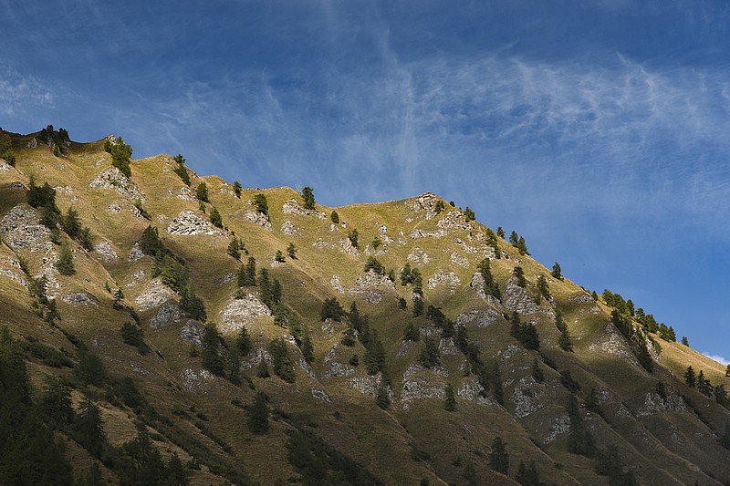 DSC_5367RAW.jpg