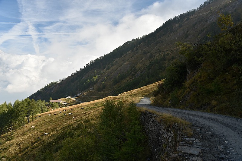 DSC_5370.JPG