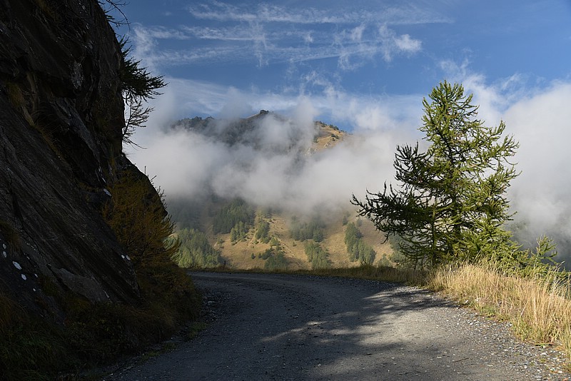 DSC_5375.JPG