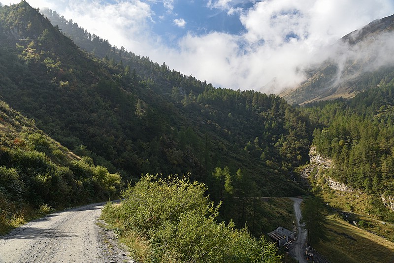 DSC_5377RAW.jpg