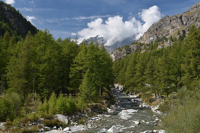 DSC_5395RAW.jpg