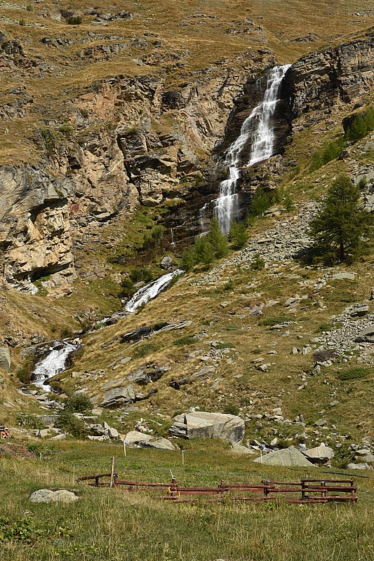 DSC_5397RAW.jpg