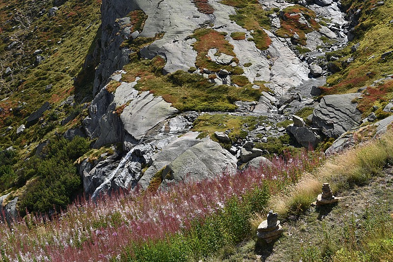 DSC_5402.JPG