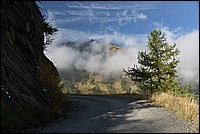DSC_5375.JPG