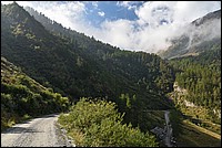 DSC_5377RAW.jpg