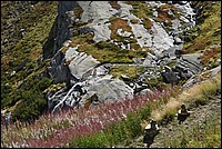 DSC_5402.JPG