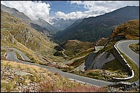 DSC_5446.JPG