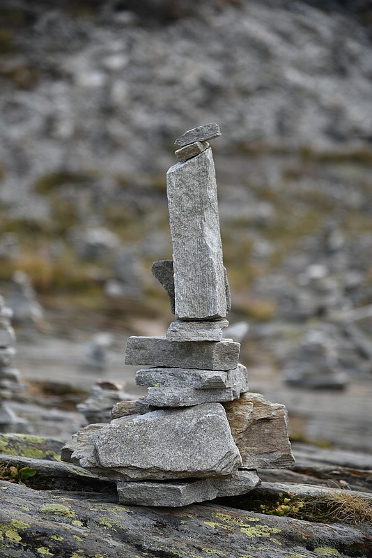 DSC_5590.JPG