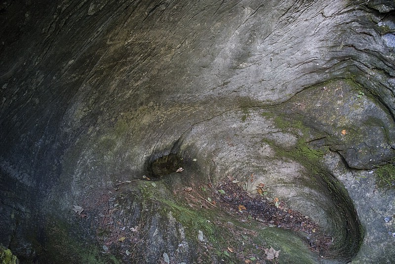 DSC_5646RAW.jpg