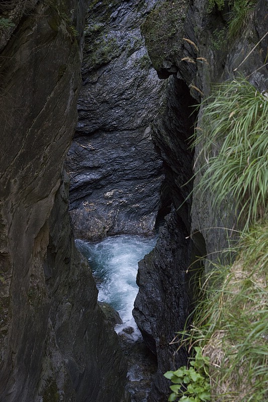 DSC_5656RAW.jpg