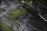 DSC_5654RAW.jpg