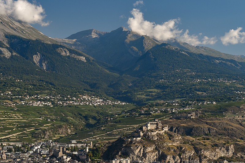 DSC_3041RAW.jpg