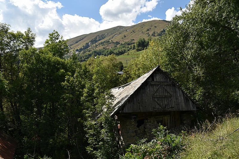 DSC_3082.JPG