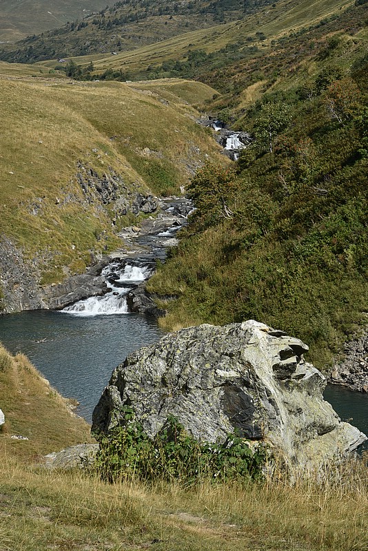 DSC_3130.JPG