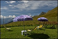 DSC_3064.JPG