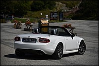 DSC_3067.JPG