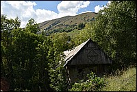 DSC_3082.JPG