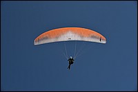 DSC_3102.JPG