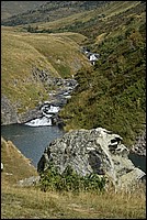 DSC_3130.JPG