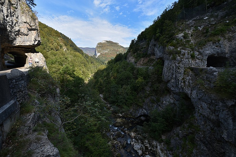DSC_3263RAW.jpg