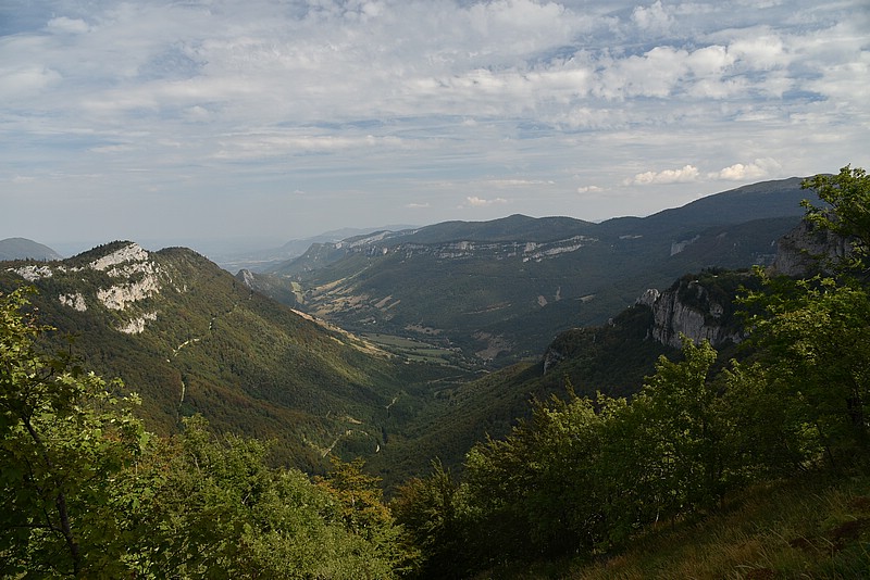 DSC_3310.JPG