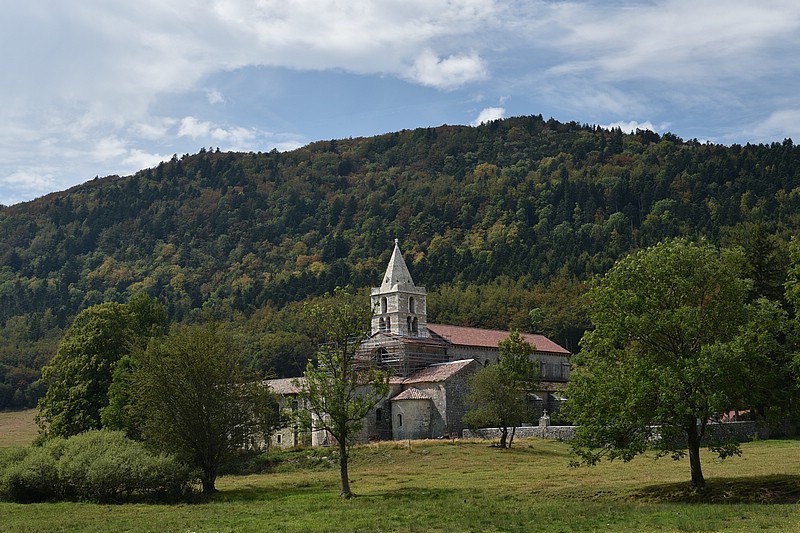 DSC_3312RAW.jpg